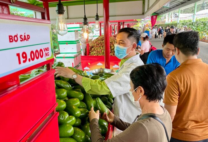 Bơ sáp đầu mùa chỉ 19.000 đồng/kg được khách mua rất nhiều. (Ảnh: M. Linh)