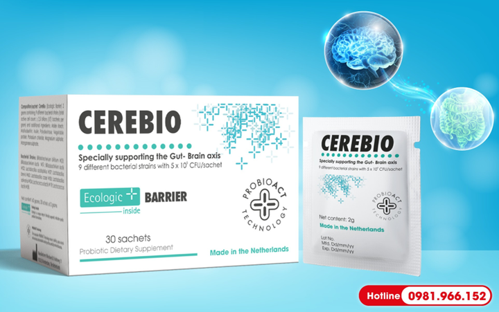 Vì sao căng thẳng dễ gây bệnh dạ dày? - 2