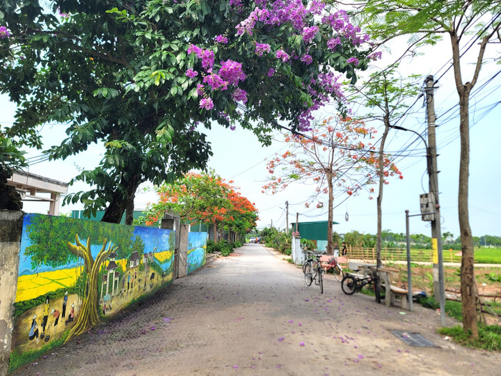 Những bức tranh đồng quê đã tạo nên nét độc đáo, sinh động cho một vùng quê.