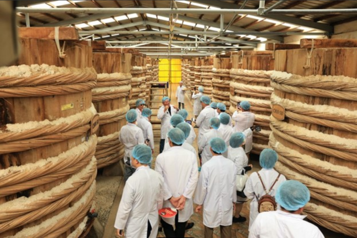 Bên trong nhà thùng nước mắm Chin-su Phú Quốc là gần 500 thùng gỗ, mỗi thùng cao gần 3m, tổng sức chứa lên tới 10.000 tấn cá/năm.