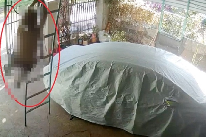 Khoảnh khắc lúc thầy V.V.V rơi xuống đất được camera ghi lại.
