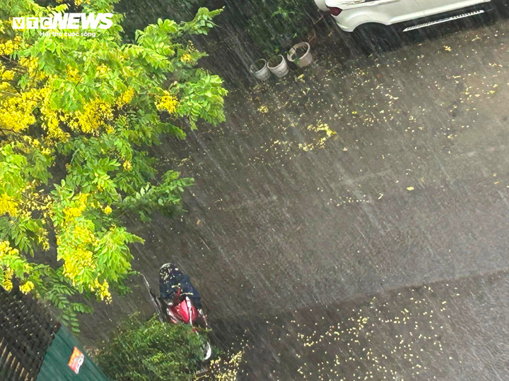 Đường nội khu chung cư khu vực Trường Chinh ngập hơn 20cm - nơi vốn dĩ thoát nước tốt, ít khi bị ngập.