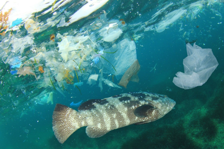 Vùng biển bị ô nhiễm rác thải nhựa. (Ảnh: SCMP)