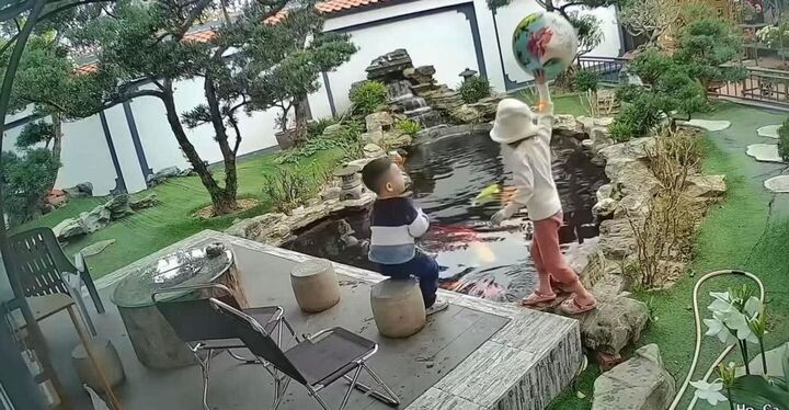 Hai bé chơi đùa gần hồ cá. (Ảnh chụp màn hình)