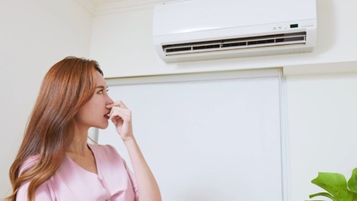 Điều hòa bị hôi là do đâu? (Ảnh: Terrysacandheating)