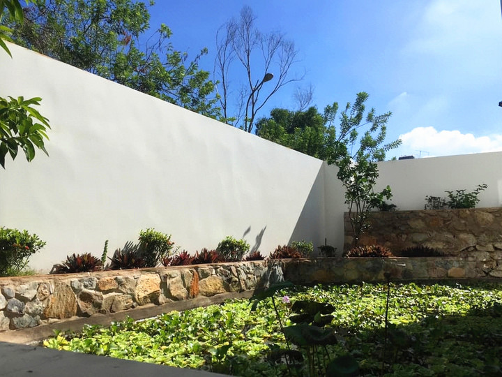 Nhạc sĩ Dương Thụ tuổi 81 làm việc 'như lực sĩ', là đại gia ngầm? - 3