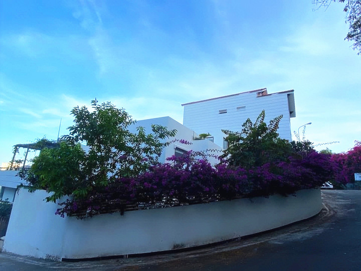 Nhạc sĩ Dương Thụ tuổi 81 làm việc 'như lực sĩ', là đại gia ngầm? - 4