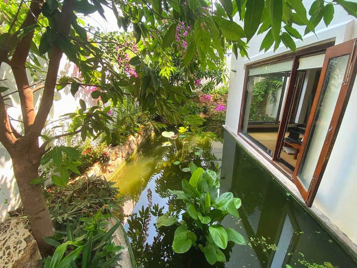 Nhạc sĩ Dương Thụ tuổi 81 làm việc 'như lực sĩ', là đại gia ngầm? - 2