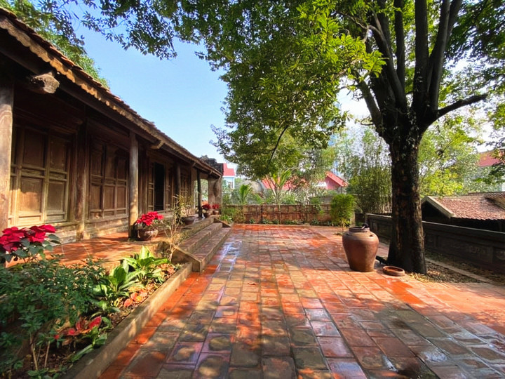 Nhạc sĩ Dương Thụ tuổi 81 làm việc 'như lực sĩ', là đại gia ngầm? - 5