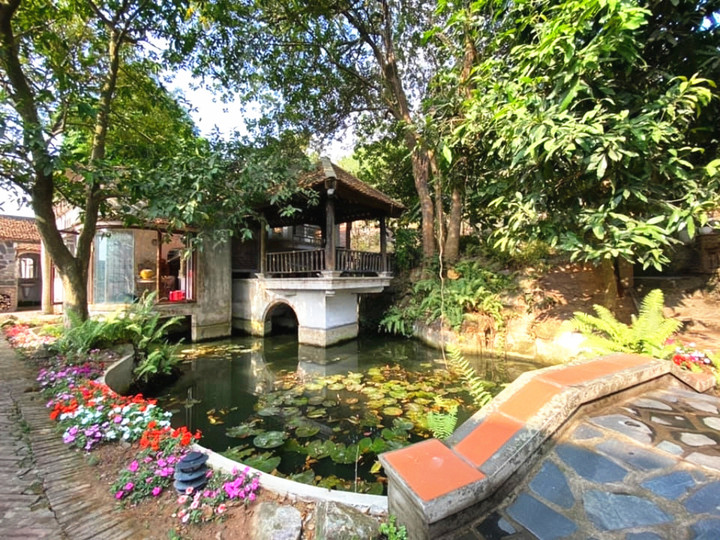 Nhạc sĩ Dương Thụ tuổi 81 làm việc 'như lực sĩ', là đại gia ngầm? - 6