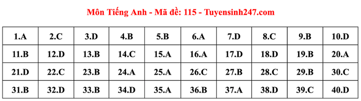 Gợi ý đáp án đề thi môn tiếng Anh lớp 10 Hà Nội năm 2024 - 13