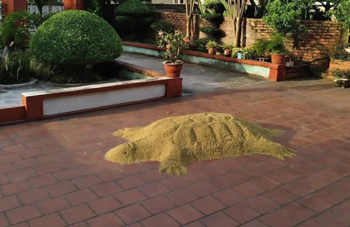 Khi không được chơi điện thoại, xem TV các "mầm non tương lai" lại tìm cách khác để nghịch, ví dụ như dùng lúa của ông bà để tạo hình con vật hay đạp xe đi quanh làng "đố bố mẹ tìm được".