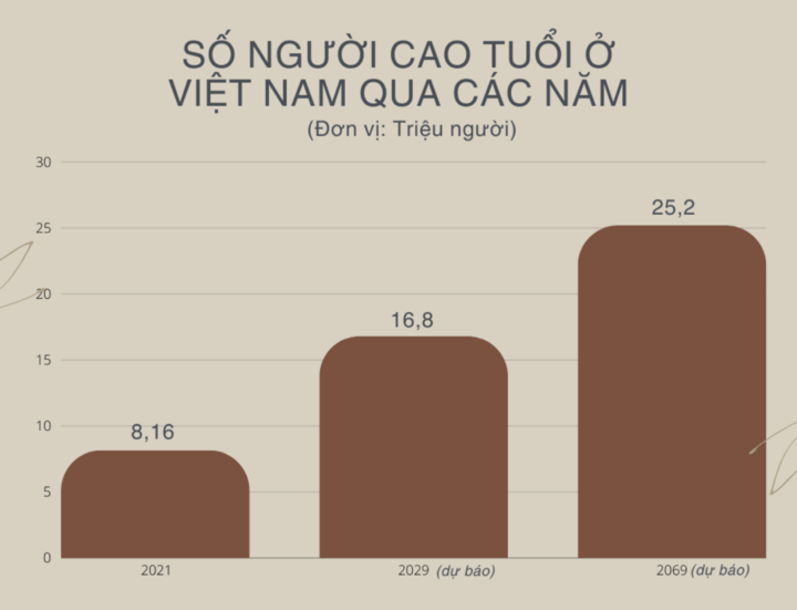 Nền kinh tế bạc, thị trường tỷ đô đang bị bỏ ngỏ ở Việt Nam - 11