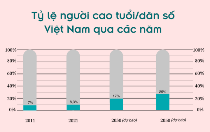 Nền kinh tế bạc, thị trường tỷ đô đang bị bỏ ngỏ ở Việt Nam - 10