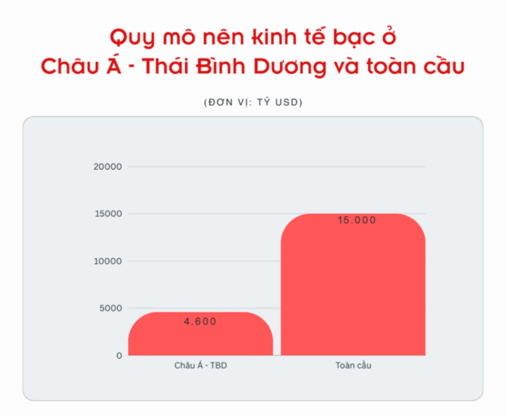Nền kinh tế bạc, thị trường tỷ đô đang bị bỏ ngỏ ở Việt Nam - 4