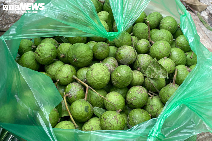 Kiếm tiền mưu sinh với nghề 'treo người' giữa lưng chừng trời ở Hà Nội - 5