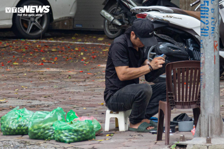 Nhiều người lao động nghèo ngoài công việc chính để mưu sinh còn tranh thủ trèo sấu để kiếm thêm thu nhập.