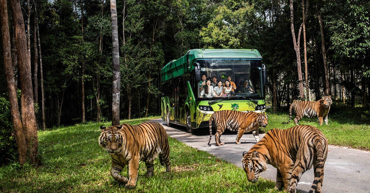 Vinpearl Safari Phú Quốc đạt kỷ lục Safari trên đảo đa dạng loài với số lượng cá thể nhiều nhất Thế giới.