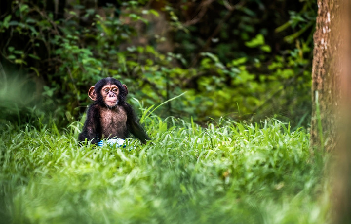 Mây trở thành nhân vật “truyền cảm hứng”.