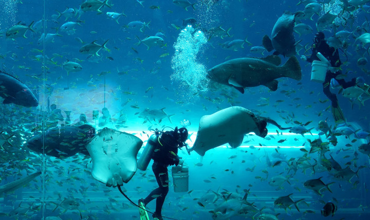 Cung điện Hải vương tại VinWonders Phú Quốc quy tụ hơn 255 nghìn sinh vật biển quý hiếm.