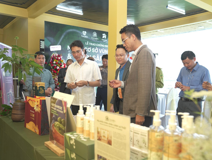 Ông Hà Trọng Hải - Phó Chủ tịch UBND tỉnh và các đại biểu tham quan, trải nghiệm các sản phẩm đã được thương mại hóa từ Sâm Lai Châu.