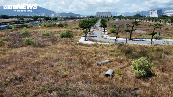 Nhiều năm qua, dự án này còn dang dở, phía trong cỏ mọc um tùm.