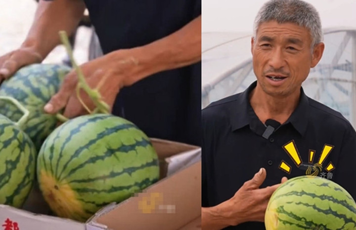 Ông Lưu được xem là "thần chọn dưa" ở khu chợ đầu mối Hà Trạch, tỉnh Sơn Đông, Trung Quốc.