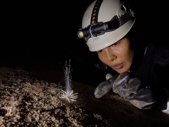 Sinh vật lạ được nhóm thám hiểm phát hiện ở hang động ở Quảng Bình. (Ảnh: Công ty TNHH Jungle Boss)