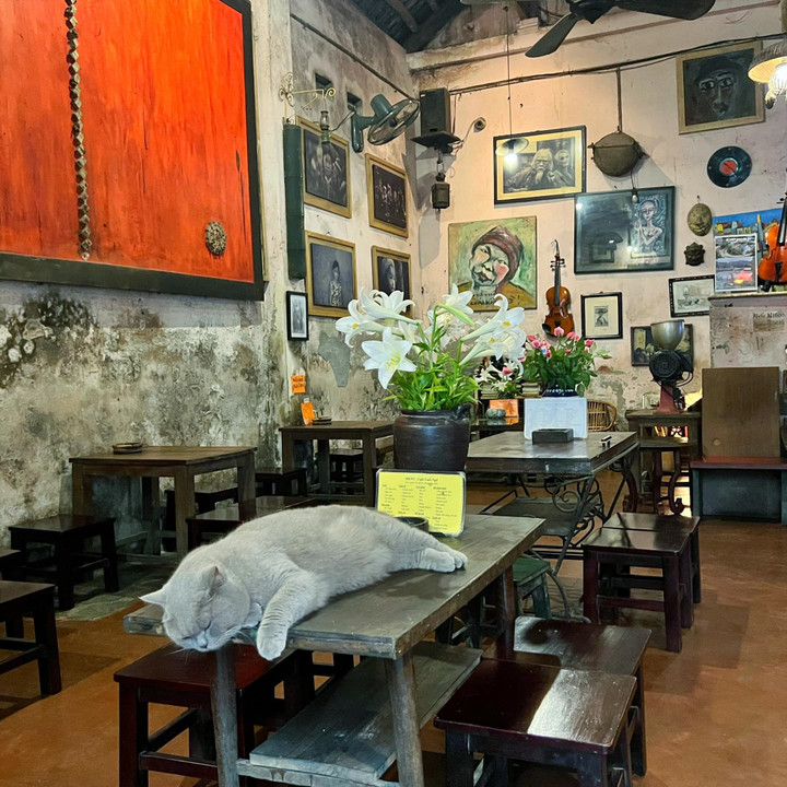 Một quán cà phê nằm trong con ngõ nhỏ, với không gian yên tĩnh và những bản nhạc Trịnh du dương. (Ảnh: Cafe Cuối Ngõ)