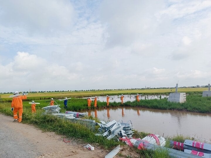 Đội xung kích của PC Vĩnh Phúc hỗ trợ dự án đường dây 500kV mạch 3 (điểm thi công thuộc vị trí 21, thị trấn Ninh Cường, Trực Ninh, Nam Định).