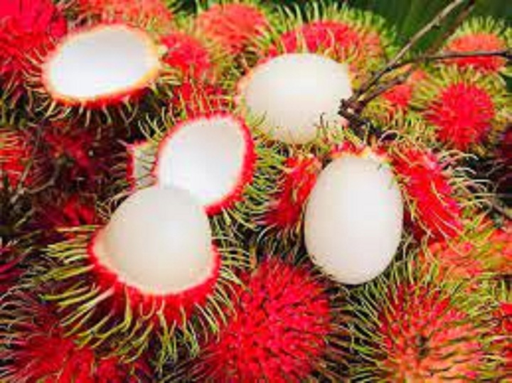 Cùi dày là đặc điểm của những quả chôm chôm ngon. (Ảnh: Cooky.vn)