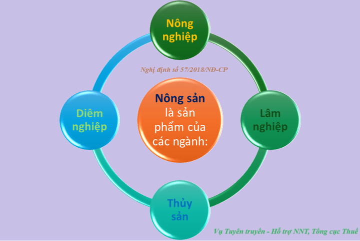 Chính sách thuế GTGT đối với hàng nông sản nhập khẩu - 1