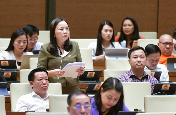 Đại biểu Cầm Thị Mẫn, đoàn ĐBQH tỉnh Thanh Hóa.