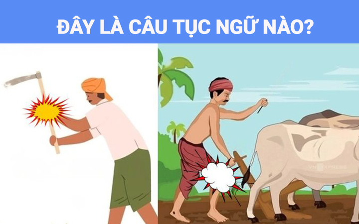 Bạn có thể suy luận ra câu tục ngữ này không?