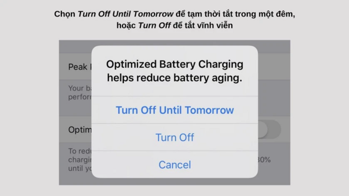 Vì sao iPhone ngừng sạc ở mức 80%? - 3