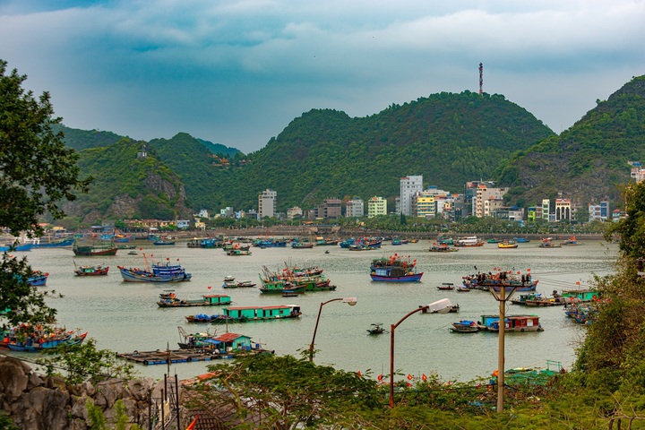 Cát Bà hướng tới trở thành hòn đảo không khói xe.