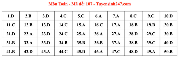 Gợi ý đáp án mã đề 107 môn Toán thi tốt nghiệp THPT 2024 - 1