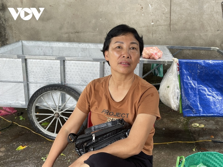 Bà Nguyễn Thị Hoa, người dân làng Trinh Tiết, xã Đại Hưng.