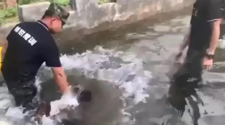 Giám đốc trại huấn luyện cho biết đứa trẻ trong video tỏ ra khá nhút nhát. (Ảnh: Dafeng News)