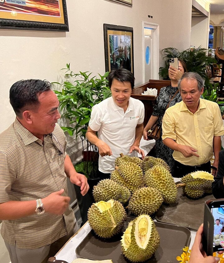 Hoàng Anh Gia Lai đang có hơn 1.500ha sầu riêng trồng tại Lào và Việt Nam, bầu Đức tuyên bố giá bán sầu riêng hiện nay là quá lời. (Ảnh: HAG)