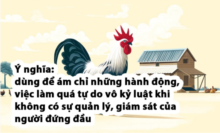 Tìm Câu Thành Ngữ - Những Bí Quyết Tìm Kiếm Thành Ngữ Nổi Bật