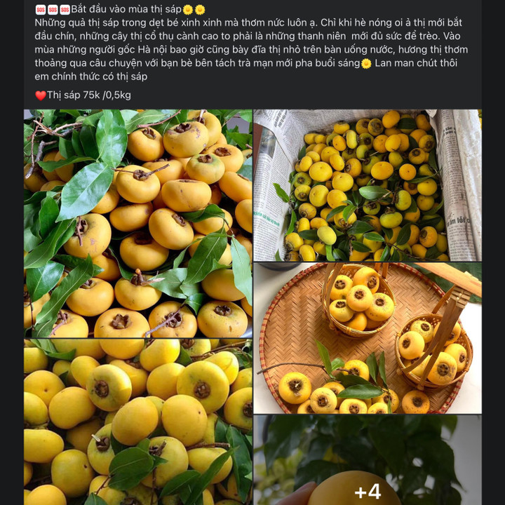 Thị sáp đầu mùa được rao bán rầm rộ trên "chợ mạng". (Ảnh chụp màn hình)