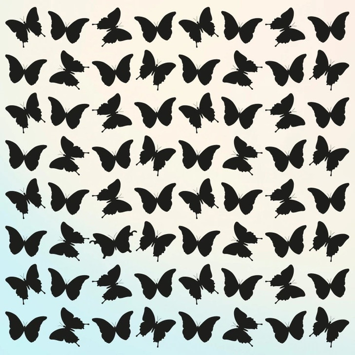 Đố bạn tìm được con bướm khác biệt nhất.