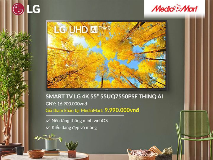 Loạt TV màn hình lớn giảm nửa giá kích cầu mùa Euro - 5