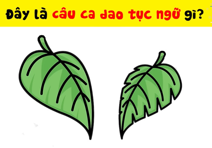 Bạn có thể suy luận ra câu tục ngữ này không?