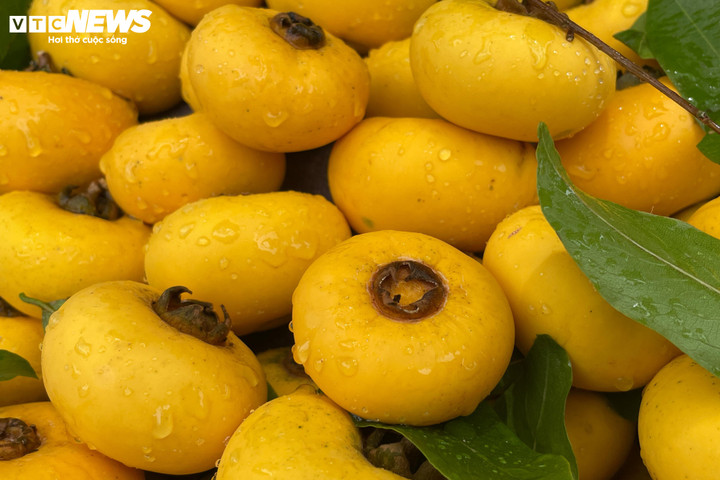 Khách lùng mua, thị sáp đầu mùa giá siêu đắt vẫn 'cháy hàng' - 2