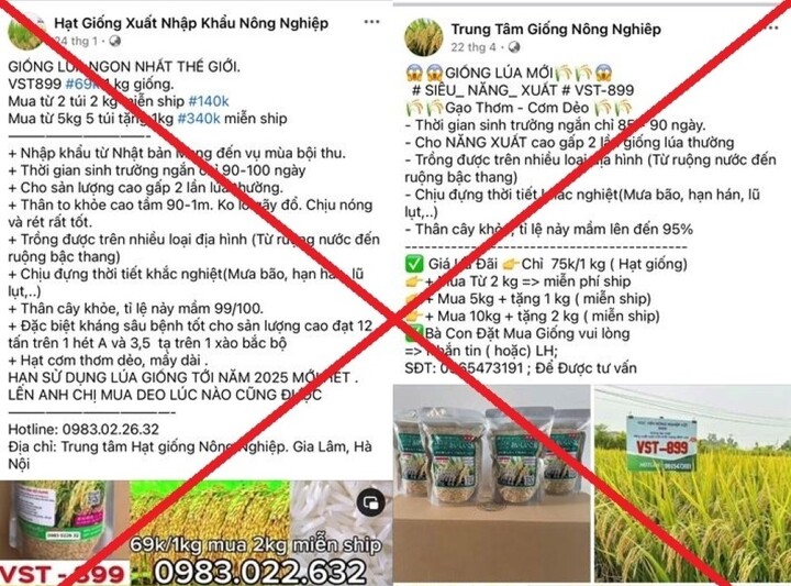 Một số bài đăng quảng cáo của các đối tượng trên mạng xã hội facebook.