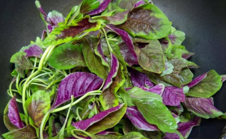 Rau dền rất quen thuộc trong cuộc sống của chúng ta. (Nguồn: Sohu)