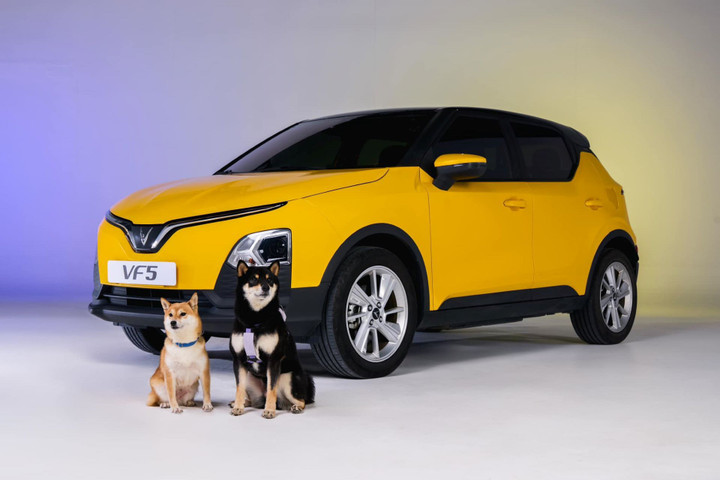 Màu sắc và thiết kế năng động của VF 5 Plus.