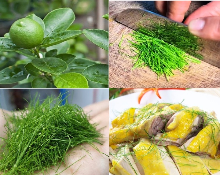Mẹo thái lá chanh nhỏ như sợi chỉ đòi hỏi sự tỉ mỉ và kiên nhẫn.